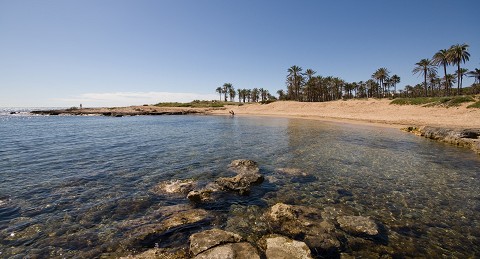 Torrevieja - Immo Spanje